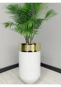 Resim Elegant Dekoratif Gold Darbuka Parlak Beyaz Saksı 70cm 