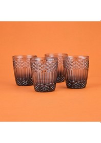 Resim Raklee Vega 4'lü Su Bardağı Seti - Füme - 300 Ml Renkli 