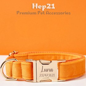 Resim Dog Collar Named Orange Velvet Collar 865315 - Leash + Bow Tie + Leash Rope / L 