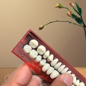 Resim 28 Akrilik Reçine Diş Protezi Seti - Ağız Uygulaması için Çok Tonlu Diş Malzemesi Kiti, Eğitim ve Diş Amaçları için Diş Gölge Rehberi Özellikli, Dayanıklı Polipropilen Protezler, Kendin Yap Projeleri için Uygundur. 