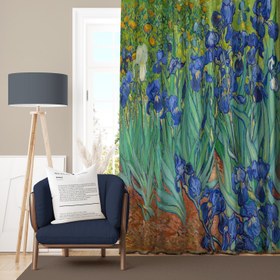 Resim İrisler Perde 