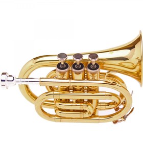 Resim Fox TPP2000G Pocket Trompet 