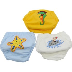 Resim pundikids Poopes 3Lü Erkek Çocuk Alıştırma Külot 