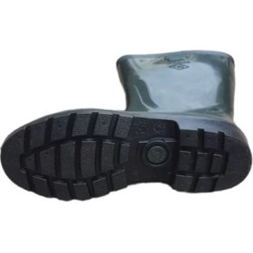 Resim Arısan Uzun Çizme 