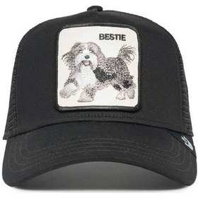 Resim Goorin Bros Şapka - The Bestie Dog Siyah 