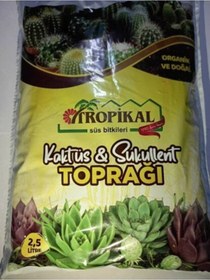 Resim Tropikal Kaktüs Saukulent Toprağı 2.5 L 