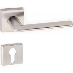 Resim Doğanlar Kante Saten Rozetli Kapı Kolu Takım-yale Kol Pk001dgn0024 Renkli 