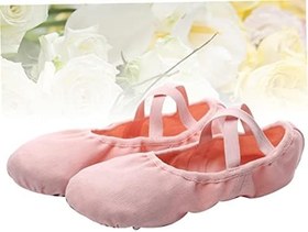 Resim Kanvas Bale Ayakkabıları Deri Bale Terlikleri Antrenman Ayakkabısı Kadınlar Için Terlikleri Bayan Ayakkabıları Bayanlar Düz Ayakkabı Tabanlar Çocuk Yumuşak 