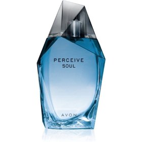 Resim Avon Perceive Soul Erkek Parfümü 100 ml 
