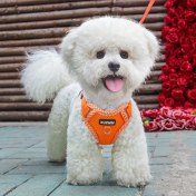 Resim Fochsia M Küçük Kedi Göğüs Tasması Seti: Kaçış Önleyici, Soluk Renk, Gece Işıklı Tasma, Rahat Ve Ayarlanabilir Turuncu 