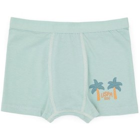 Resim U.S. Polo Assn. Erkek Çocuk 3'lü Boxer Takım 50319388-VR048 