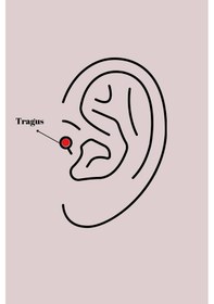 Resim İetaks 316l Çelik Gold Renk Kırmızı Mineli Kalp Tragus Piercing Elk-bjtıeg Altın 