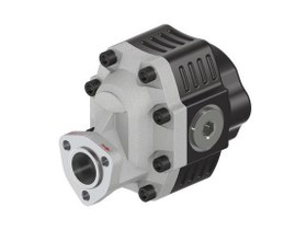 Resim 40 Serisi Uni Cift Yonlu Disli Pompalar 