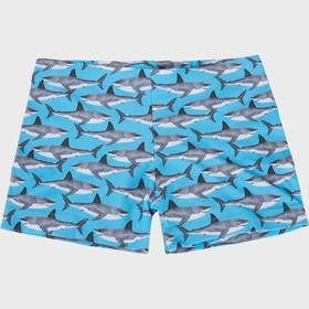 Resim Slipstop Santana Junior Desenli Lastikli Bel Boxer Mayo Short Erkek Çocuk Mayo Short Sr2631000008 Mavi 