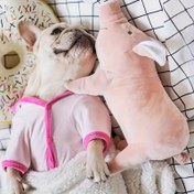 Resim Köpekler için Diş Törpüleme Peluş Oyuncak, Dayanıklı Çiğneme Oyuncağı, Taklit Domuzlar Peluş Oyuncakları 