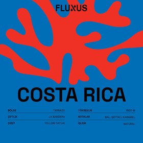 Resim Costa Rica La Bandera Yellow Catuai Natural 250 gr - Kağıt Filtre 
