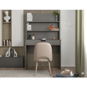 Resim Armi Tek Çekmeceli Kitaplıklı Çalışma Masası Metalik Gri Metalik Gri 