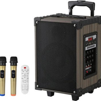 Platoon Pl-4614 10" 2 Mikrofonlu Kumandalı Kablosuz Hoparlör Siyah Lt-912