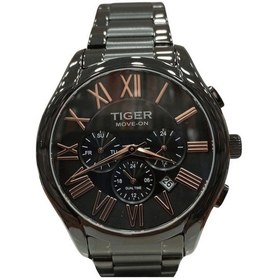 Resim Tf-03219ss Tıger Çelik Erkek Saati Siyah 