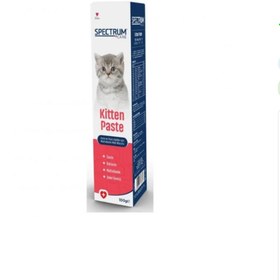 Resim Spectrum Kitten Paste Anne ve Yavru Kediler İçin Malt Macunu 100 Gr 