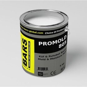 Resim Bars Küf Ve Rutubet Boyası 5 Kg. - Beyaz 