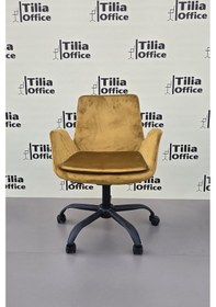 Resim Maki Çalışma Ve Çocuk Koltuğu Siyah Yonca Ayak Hardal Sarısı 