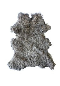 Resim Gerçek Uzun Tüylü Koyun Postu Açık Kahve 60x50 Cm 