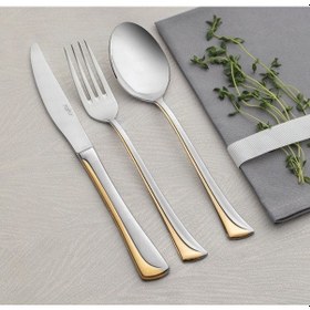 Resim Nehir Maksi Altın Saten 12 Kişilik 89 Parça Deri Kutulu Çatal Kaşık Bıçak Takımı 