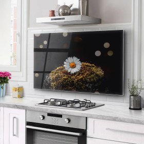 Resim Olinpa Ocak Arkası Cam Koruyucu Tezgah Ankastre Arkası Koruyucu 76X50 cm | 