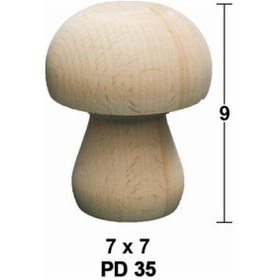 Resim Boyanabilir Mantar Pd35 