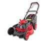 Resim Ital LM51S 51 CM 170 CC Şanzımanlı Benzinli Çim Biçme Makinesi 