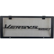 Resim Dinosaurs Siyah, Kawasaki Versys 650 Exotic 650 Modifiye Su Tankı Ağı Soğutma Ağı Koruyucu Kılıfı İçin Uygundur Gosterildigi Gibi 