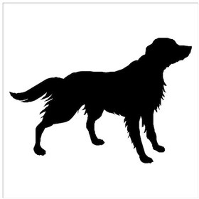 Resim Köpek Folyo Sticker Derstv870 80cm Uzunluk Siyah 