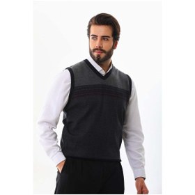 Resim Pelikan Erkek Desenli V Yaka Süveter 9602 Lacivert 