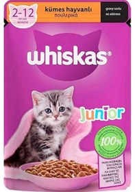 Resim Whiskas Pouch Sos İçinde Tavuklu Yavru Kedi Konservesi 28 x 85 G 