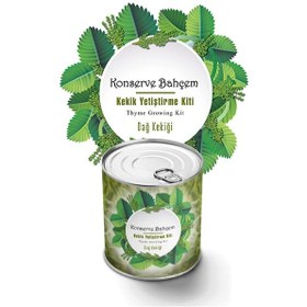 Resim Hobibahçem Konserve Bahçem Evde Konservede Kekik Dağ Kekiği Yetiştirme Kiti 