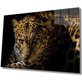 Resim Miyrem Glasses Collection -a1^ Leopar Hayvan Cam Tablo 
