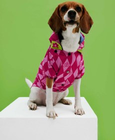 Resim Pink Checkered Köpek Yağmurluk - 1 