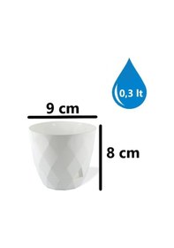 Resim Omnipazar Krs-450 Yakamoz Tabaklı Plastik Saksı Takımı 0.3 Litre No 0 Beyaz 