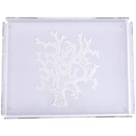 Resim Mercan Desen Tepsi 30 40 Cm Diğer 