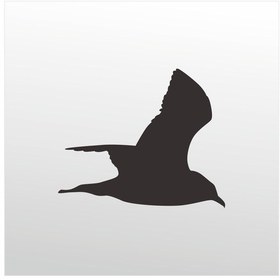 Resim Folyo Sticker Martı 200cm Uzunluk Siyah 