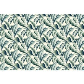 Resim Tropikal Yapraklar Duvar Kağıdı (361184923) 