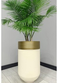 Resim Elegant Dekoratif Eskitme Darbuka Krem Saksı 60cm 