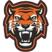 Resim Gogo 75X85MM Bengal Kaplanı 