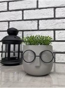 Resim One Sweet Home Saksıdaki Yapay Çiçekler Dekor Ve İç Mekan Bitkileri 138724772 Bej 