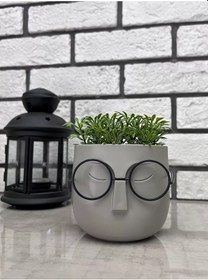 Resim One Sweet Home Saksıdaki Yapay Çiçekler Dekor Ve İç Mekan Bitkileri 138724772 Bej 