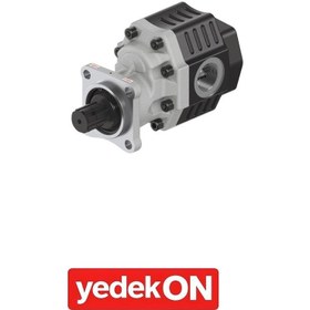 Resim 30 Serisi İSO Çift Yönlü Dişli Pompalar 