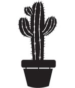 Resim Byr002 Saksı Çiçeği Kaktüs Tip 4 50x110 Cm Efsngrck 