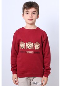 Resim Hçm Erkek Çocuk Şardonlu Sweat Karakter Baskılı Ribanalı E34 Bordo 