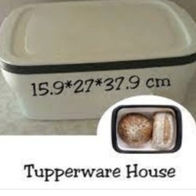 Resim Tupperware Modüler Ekmek Saklama Kutusu 